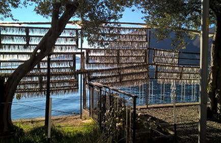 Residenza Borgo Antico - Foto 23