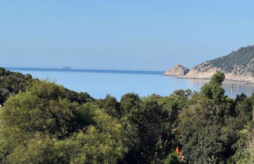 Les OULIVASTRES - Foto 1