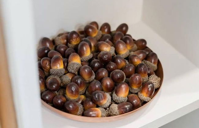 The Oaks Helm Model Container Home 12 min to Magnolia Market - Foto 32