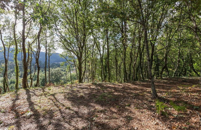 Casa Da Terra Land House - Foto 43