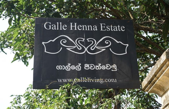 Galle Henna Estate - Foto 38