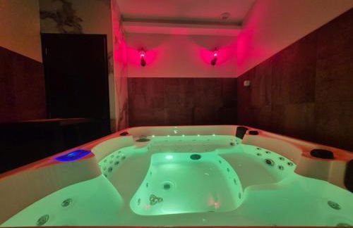 Appartement Spa - Jacuzzi privatif - Fer Rêver 63 - Foto 19