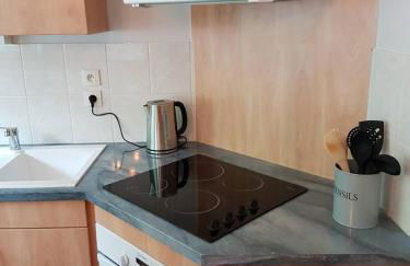 studio 26 m2 tout équipé - Photo 8