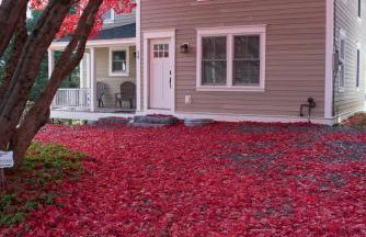 Restored 1881 Farm House - Foto 6