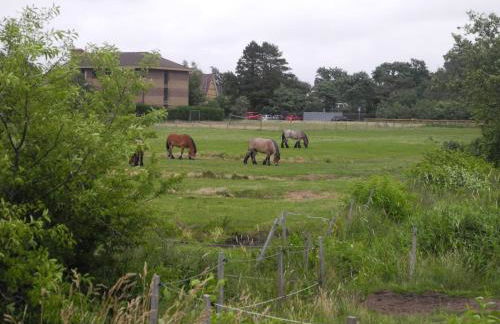Quartier Hohe Geest 15 - Nordseebrise - Foto 16
