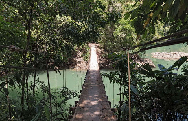 Avistamento de aves na fazenda Río Agujitas - Foto 1