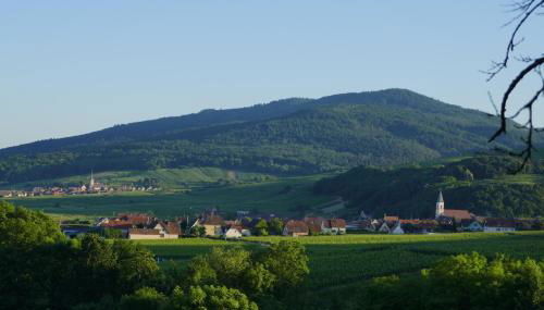 Gîte FLEUR DE VIGNES - Foto 5