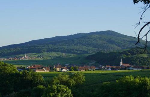 Gîte FLEUR DE VIGNES - Foto 5