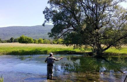 Holiday Home Sinac - Foto 25