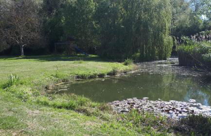Ferienhaus am Mittelberg - Photo 6