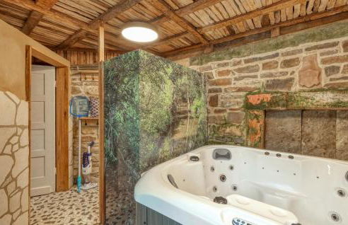 Admiral Vanessa - Foto 37