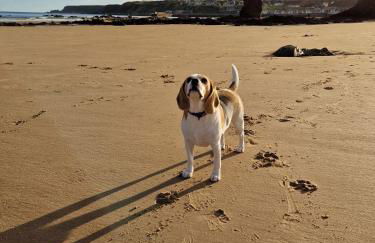 Cullen Holiday Home - Foto 49