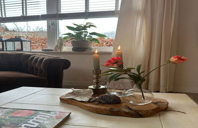 Apartment in Bergen Near Schoorl Dunes - Photo 18