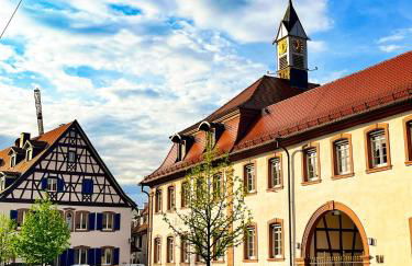 Storchenhof Teningen - Foto 28