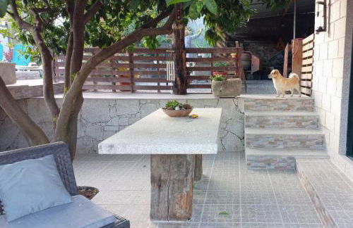 Casa Nunes 2 - Photo 43