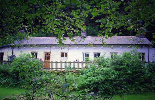 CELYN - SNOWDONIA COTTAGE - Photo 3