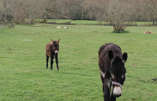 Maisonnette de charme entre plages et estuaire - Foto 6