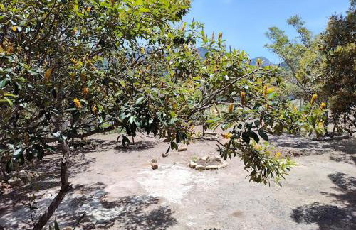 Flor e Luz Chalés - Foto 60