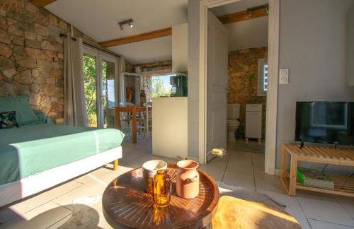 Villa Le Soleil Bleu - Piscine - Jardin - Foto 34