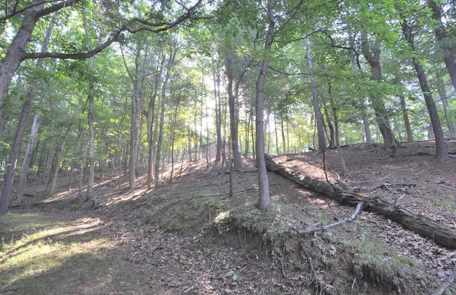 Rivers Tranquility - Foto 24