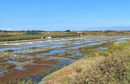 Villa TEYO Le Bois Plage en Ré - Foto 51