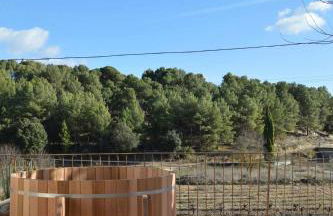 Villa Serrano, La casa rural de los mil suelos - Foto 9