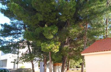 Apartments Zvone,place by the sea - Photo 15