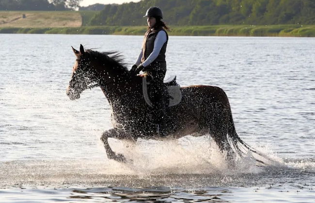 Gustow Garden Retreat - Foto 36