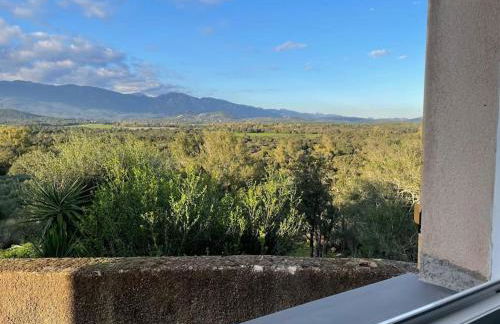 Appartement neuf dans hameau proche porto vecchio - Foto 27