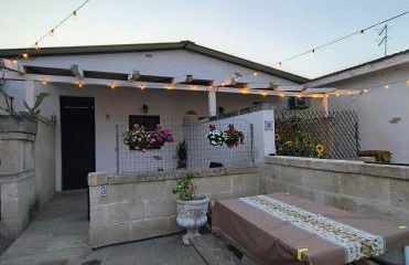 Ville Scelsa - Foto 23