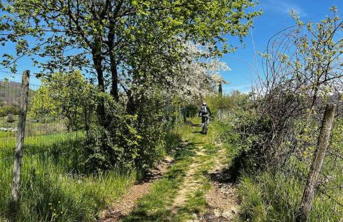 Bellavista - Grande giardino privato, tranquillità, panorama - Foto 35