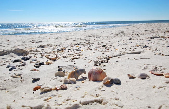 Tradewinds 807 - Photo 39