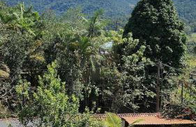 Espaço Casa Flora - Foto 32