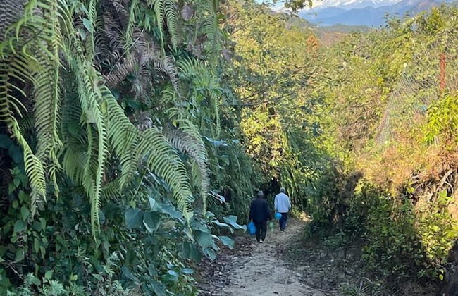 Prakriti Resort and Organic Farm - Foto 30