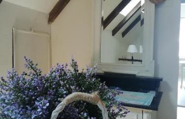 Studio apartman u renesansnoj vili - Foto 16