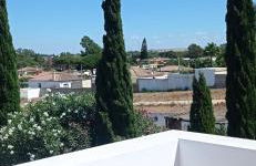 La Luciérnaga - Foto 39