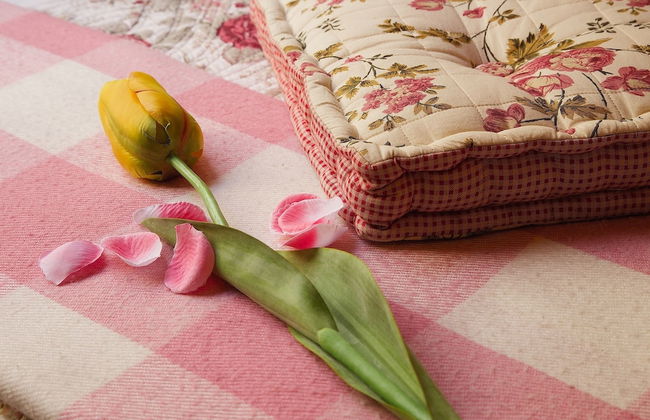 Beautiful Alamedas - Foto 8