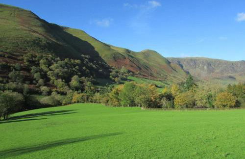 Bryn Sion Farm - Photo 15