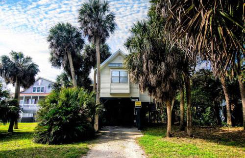 Green Parrot - Foto 2