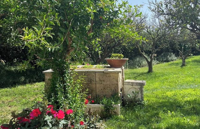 Tenuta Gli Agrumi del Salento - Photo 17