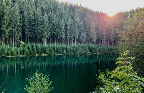 Rennsteig-Pension Trautwein - Foto 47