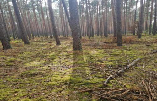 Peaceful Retreat by the Lake - Foto 65