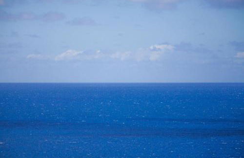 1614 Ridge - Foto 19