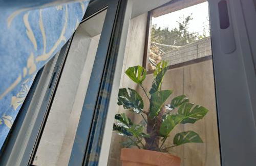 Casa Vacacional Lupe - Foto 38