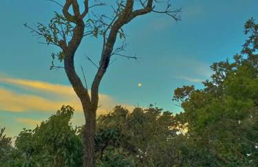 Residência Sol e Lar - Foto 14