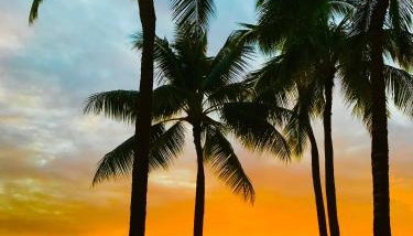 WAIKIKI 2 BEDROOMS, 1 BATH, FREE PARKING, SLEEP 6 - Foto 2