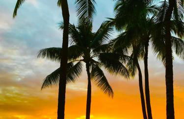 WAIKIKI 2 BEDROOMS, 1 BATH, FREE PARKING, SLEEP 6 - Foto 2