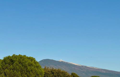 Gîte Juno - Photo 16