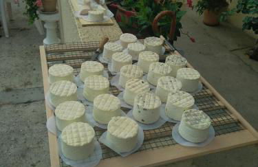 eco nature, gite à la ferme - Foto 15