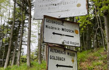 Chamois Rouge - Foto 31